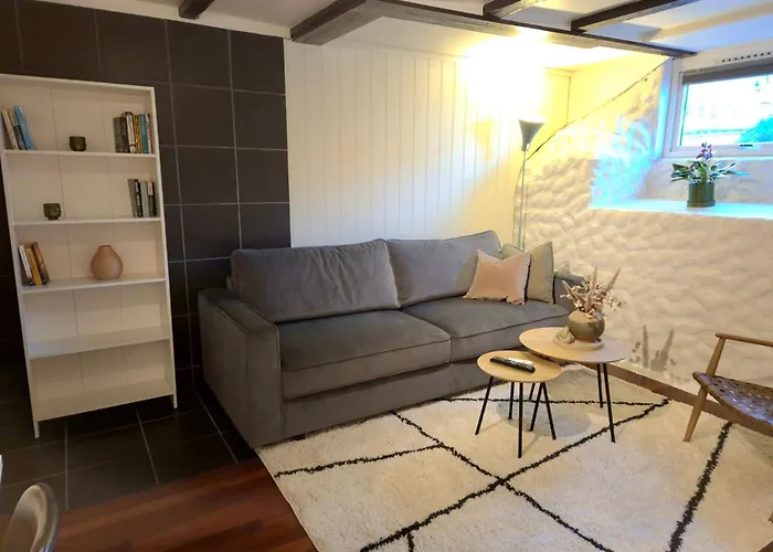 Cozy Downstairs In Apartamento *