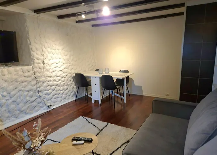 Cozy Downstairs In Apartamento Tromsø