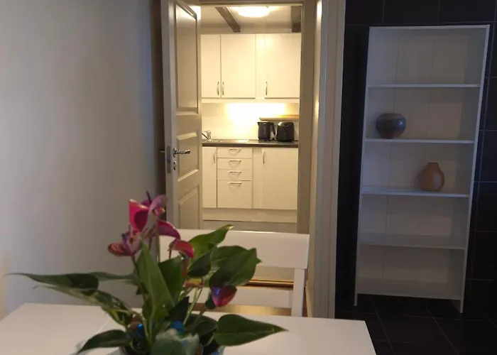 Cozy Downstairs In Apartamento