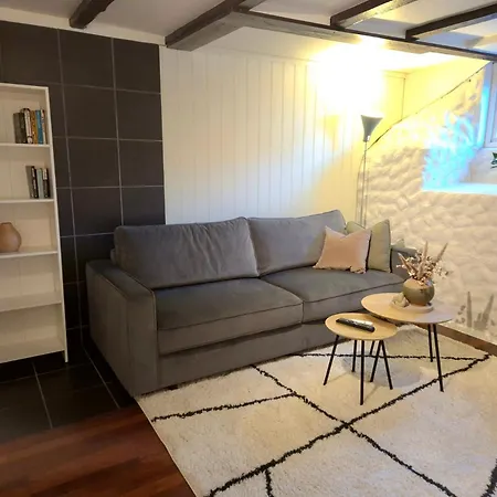 Cozy Downstairs In 公寓 *